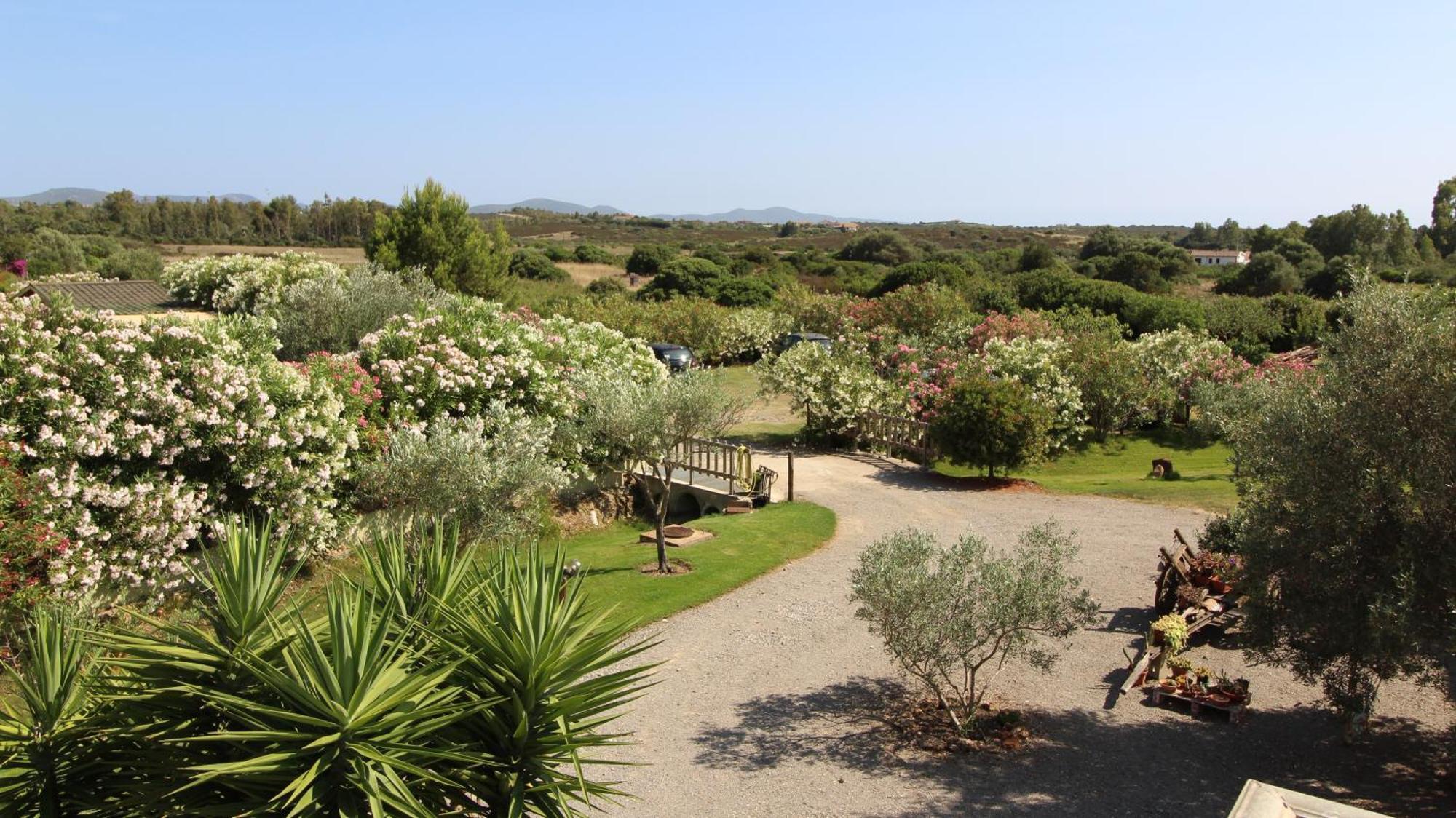 Casa Vacanze Giovanna Villa Sant'Anna Arresi Exterior photo