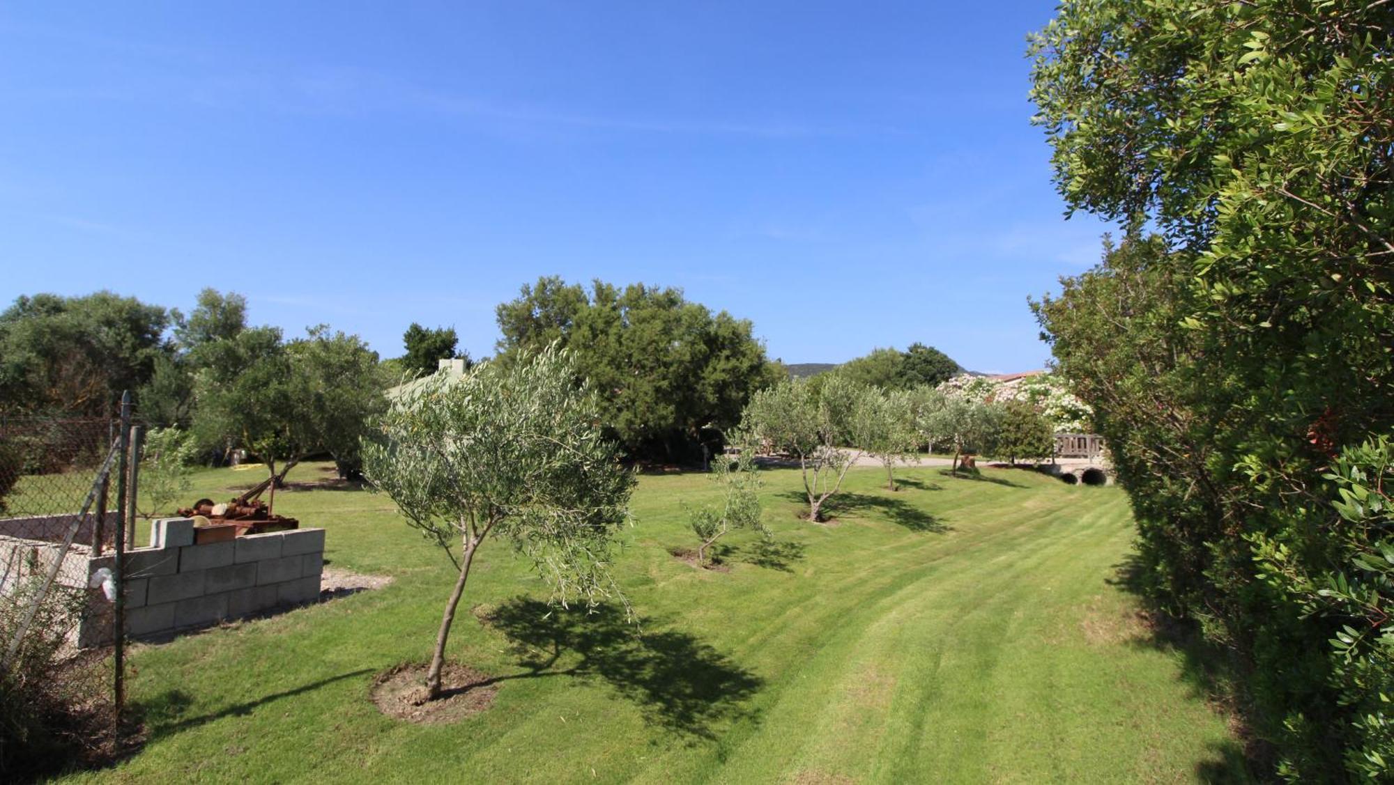 Casa Vacanze Giovanna Villa Sant'Anna Arresi Exterior photo